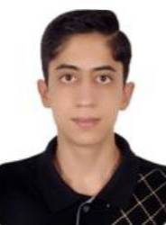 عکس پارسا حسینی